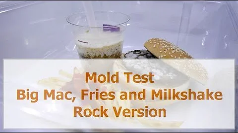 Food Rotting Timelapse: Big Mac, Fries and Milkshake - Rock Version