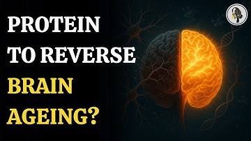 Brain Ageing Could Be Reversed by New Protein Discovery | WION Podcast