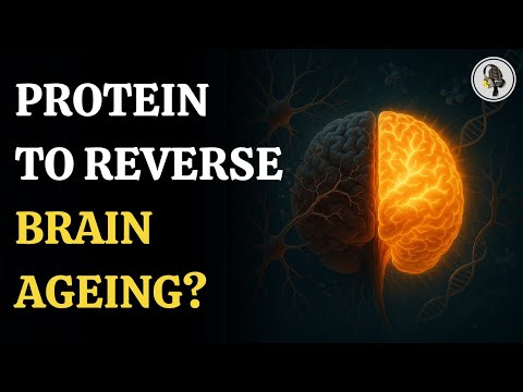 Brain Ageing Could Be Reversed by New Protein Discovery | WION Podcast