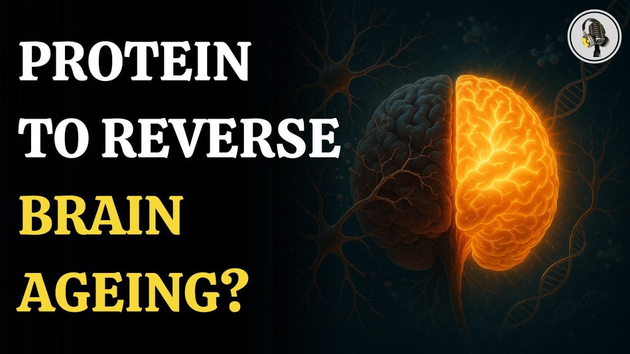 Brain Ageing Could Be Reversed by New Protein Discovery | WION Podcast ...