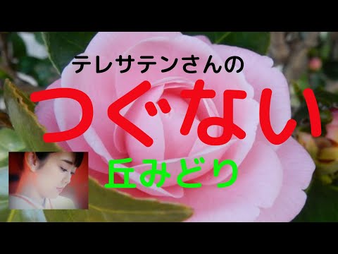 つぐない 　丘みどり　1984年発売テレサテン（みどりの誕生と同じ）