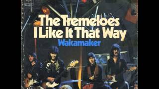 Video voorbeeld van "The Tremeloes - I Like It That Way"