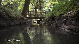 Our Watershed - City of Newberg