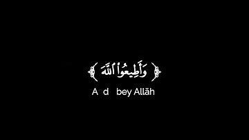 كروما شاشة سوداء قرآن كريم 🌿تلاوة من سورة التغابن 🌿القارئ طارق محمد 🌿
