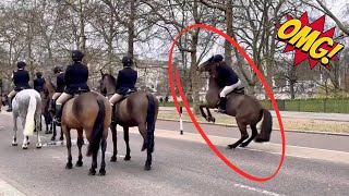 Royal Horse Spooked, Double Kicks and Rears Up! (NOT at Horse Guards)