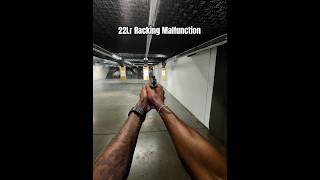 Worst gun you can possibly buy 22Lr