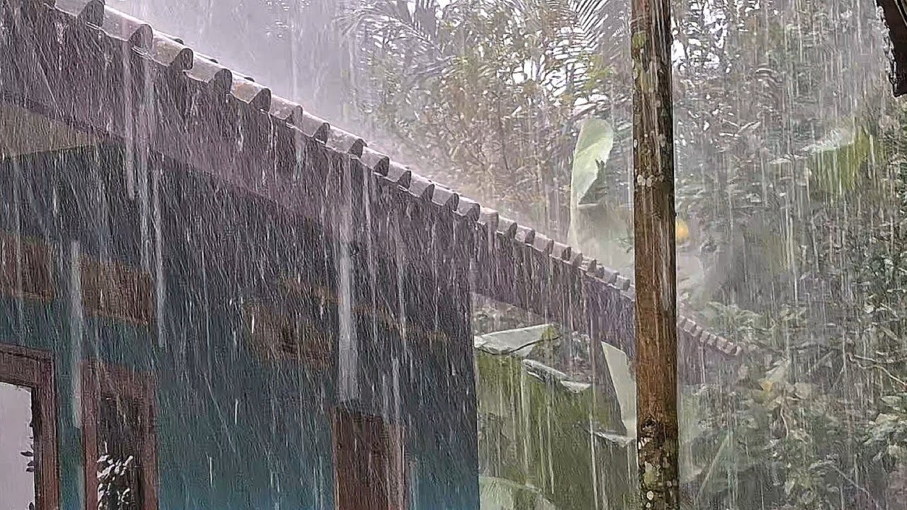 Heavy Rain Sounds 🌧️ Deep Sleep Fast | Calming Rain Ambience for Stress Relief