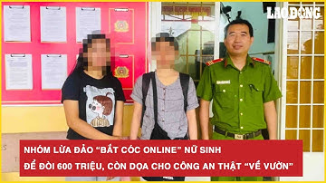Nhóm lừa đảo “bắt cóc online” nữ sinh để đòi 600 triệu, còn dọa cho công an thật “về vườn”