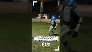 Humanoid robot chases off feral hogs in a neighborhood in Poland