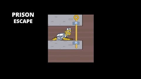 Prison Escape pin Puzzle: level 44