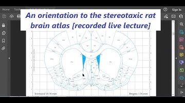 The Rat Brain Atlas - An Orientation [recorded live lecture]