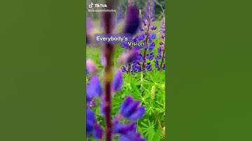 Looking at the world with Visual Snow Syndrome.