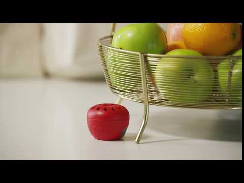 TERRO® Fruit Fly Trap, Looks Like an Apple!