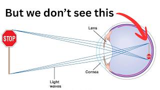 We Dont See Upside Down