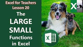 THE LARGE AND SMALL FUNCTIONS | Excel for Teachers | Carlo Excels