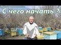 С ЧЕГО НАЧАТЬ? Видео для начинающего пчеловода.