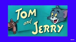 Tom and Jerry #tom #jerry #pet #peeve