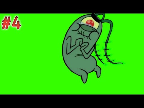  Animasi  Plankton NEW LEAF Green  screen  4 YouTube