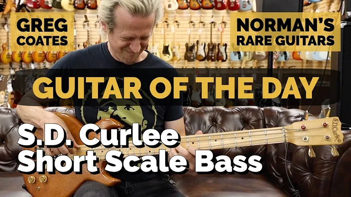 Guitar of the Day: S.D. Curlee Short Scale Bass | ...