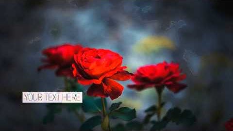 Minimal Slideshow | VideoHive Templates | After Effects Project Files