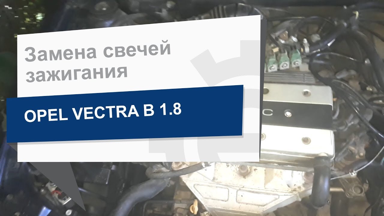 Купити DENSO 5063 – суперціна на EXIST.UA!