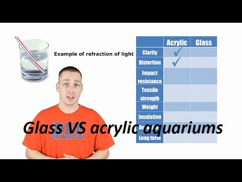 Glass VS Acrylic aquariums