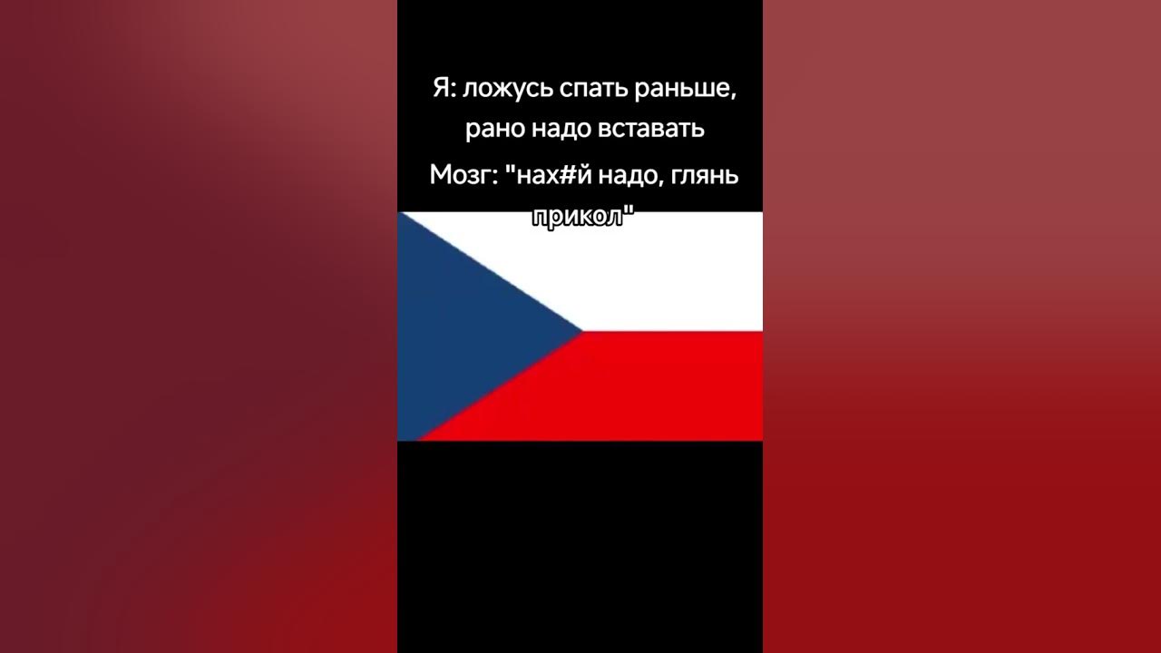 #чехия #словакия #чехасловакия#мем #мемы#мемчик #mem#meme #memes - YouTube