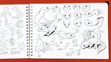 Sketchbooking to Build Your Visual Library