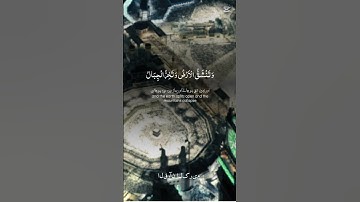 تلاوة هادئة و خاشعة #المصحف #القران #الرحمن #لايك #اكسبلور #حالات_واتس #العظماء #duet #الظروف #دويتو