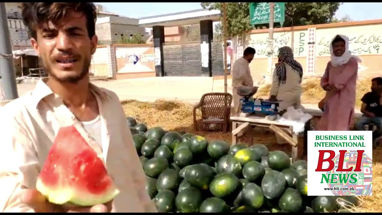 Watermelon Farm Fresh Fruits Karachi 30 to 40 rupes Kg YouTube