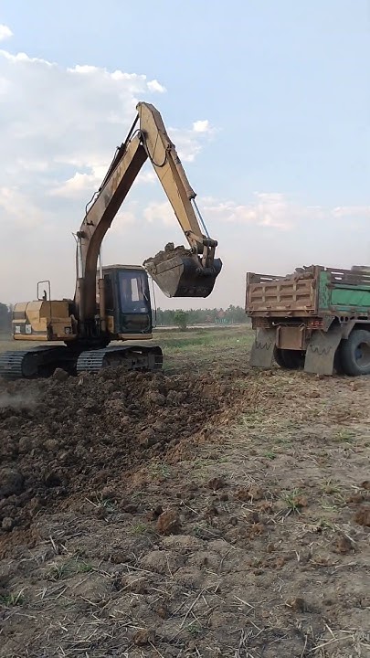 what-size-excavator-do-i-need-to-remove-trees-automobile-excavating
