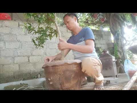 Video CÁCH TRỒNG CÂY LAN TIÊU - youtube