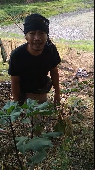 STORY WA PANDEK LUCU, | NYUBUNG DULU BROOOOTTT |