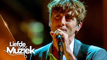 Bert Ostyn (Absynthe Minded) - 