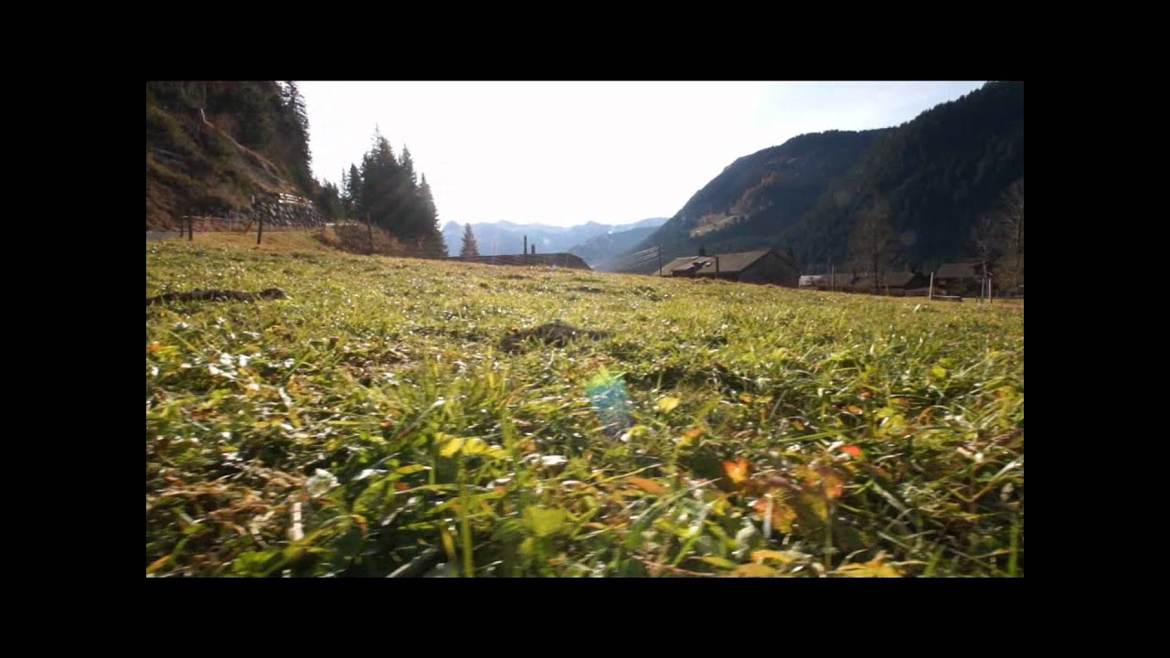 Testshoot 2-Semble Kamerakran