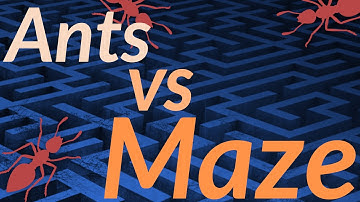 C++ Ants Simulation 3, Maze