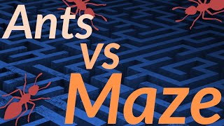 C++ Ants Simulation 3, Maze screenshot 3
