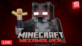 Live Weerwolven Met De Alfa Wolf In Minecraft