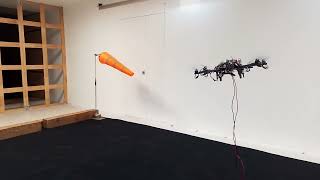 Wind Tunnel Testing of Model Predictive Control