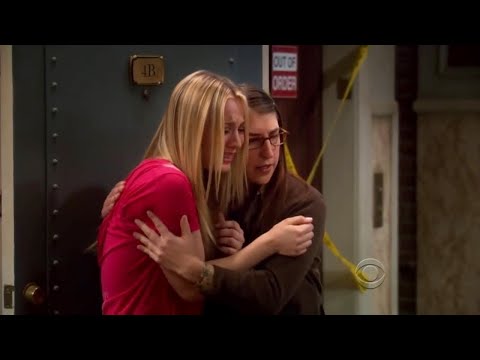The Big Bang Theory - The Cohabitation Formulation...