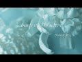 Sounds M — "Inside the Forgotten" | Ambient Neoclassical by Mayumi Masuya
