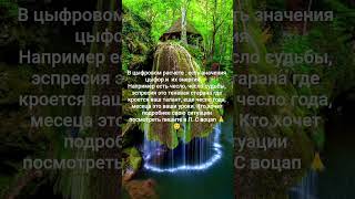 личный разбор по телефону во Вацап, телеграм 89620040294( переписка)