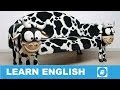 Furniture 1 - Vocabulary Flashcards Furniture 1 - Vocabulary Flashcards