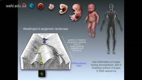 Lister R (2017): Emerging technologies in reading and writing the epigenome
