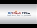 Bizcrown media  handling you business and social media