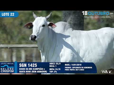 LOTE 22 SGN 1425
