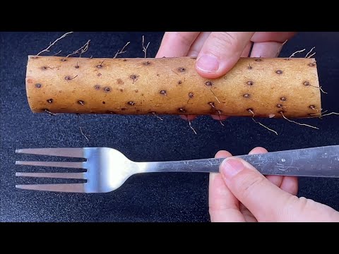 Vídeo: Como secar batata doce: 14 etapas (com fotos)