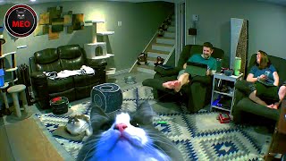 Moments When Things Went Wrong | Best Of Month (P5)