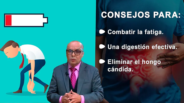 Consejos para combatir la fatiga, una digestin y e...