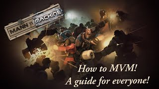 A Beginners Guide to MVM